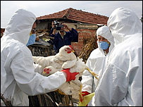 बर्ड फ़्लू