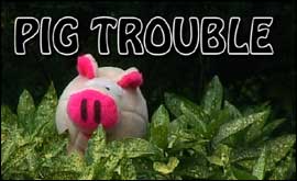 Screen Capture from one of the movies