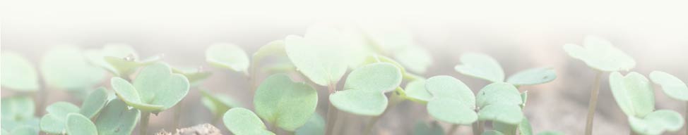 Gardening footer image, cress