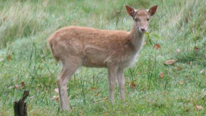 BBC Radio Foyle - Breathing Places Gallery