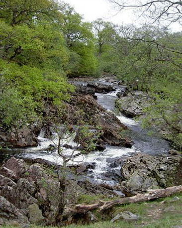 Still more waterfalls await as the way finally leaves the shores of Loch Lomond and follows the River Falloch northward up Glen Falloch.
