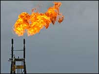 तेल उत्पादन