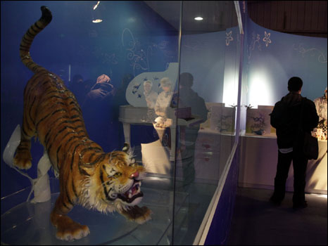 وحتى هذا النمر المزمجر حلو المذاق، فقد صنع كليا من السكر