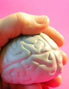 Hand holding a small model of a brain