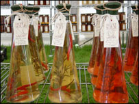 bottles of vinegars
