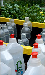 Bottles into flowers