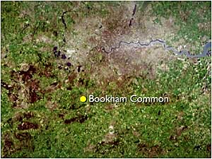 Bookham map