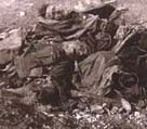 Photo of two British troops killed in action