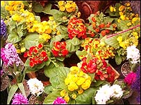 خاطرات نوروزی