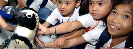 School children stroking a penguin