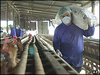 Zaměstnanec drůbežárny