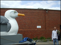 Evan with a gigantic seagull