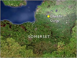 Cheddar Gorge