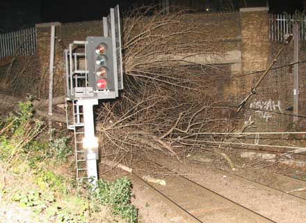 Picture by Paul Wood