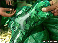 Comércio legal de folhas de coca na Bolívia