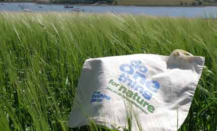 Bag on some spring Barley on one of the farms in the RSPB's Yellowhammer Recovery Project (YRP). Picture taken by Jessica Kernohan, Volunteer.