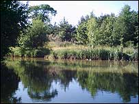Lagoon at Wood Lane