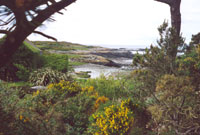 Yr olygfa i lawr i'r mor.