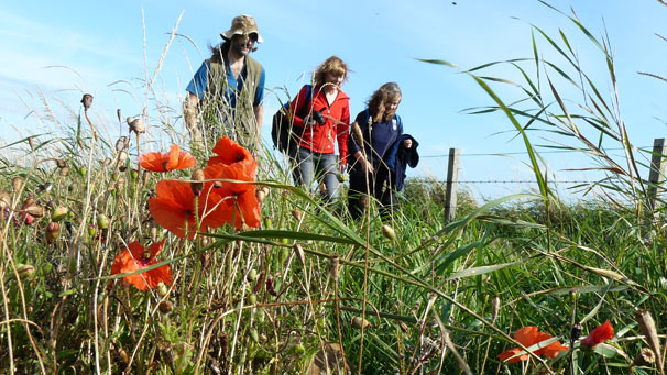 Walkers on the Fife Coastal Path