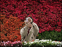 گل های بهاری