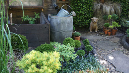 The Pine & Conifer Enthusiast Garden