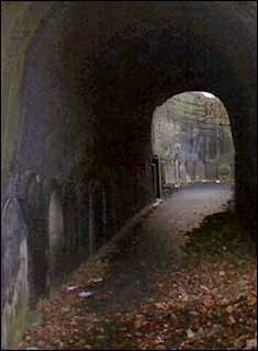 The entrance tunnel