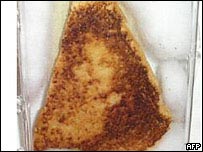 ڈبل روٹی پر جیکسن کی چہرہ