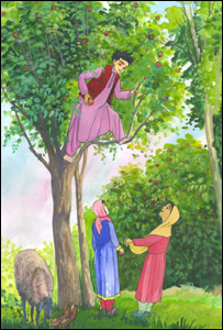 د ژوند کيسې : د نصرو بوټان