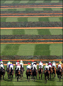 The 40 riders approach the first fence on Saturday