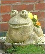 Novelty garden frog
