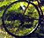 a bicycle wheel