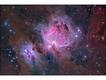 The Sword and The Rose (Orion's Sword and M42) - (Foto: © Marcus Davies)
