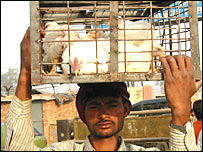 गाज़ीपुर चिकन मंडी