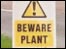 Plant warning!