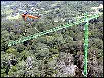 Guindaste na floresta