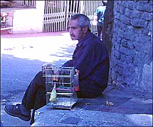 عکس از فاطمه مهجوريان