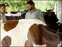 بھارت کے گولے