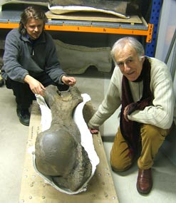 Nigel Larkin (l) shows Aubrey Manning a 600,000 year old mammoth bone