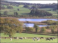 Somerset Levels Photo courtesy of RSPB