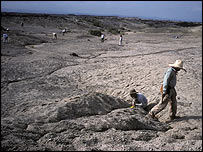 ناحيه اواش ميانی عکس از: تيم وايت/بريل آتلانتا