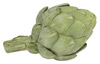 Globe Artichoke