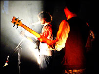 Whiskycats (c) Karen McBride