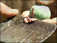 دمخدره توکو قاچاق