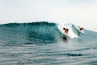 Chris King @ Hikkaduwa