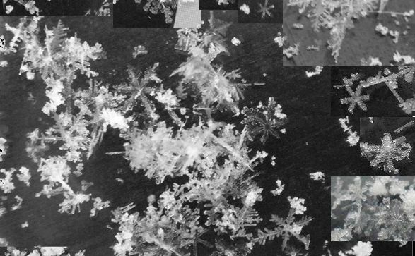 Snowflakes shot by Chris Westbrook